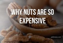 Why Nuts Are So Expensive