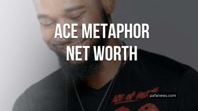 Ace Metaphor Net Worth